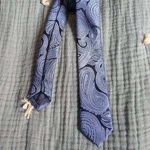 Blue Paisley Print Tie